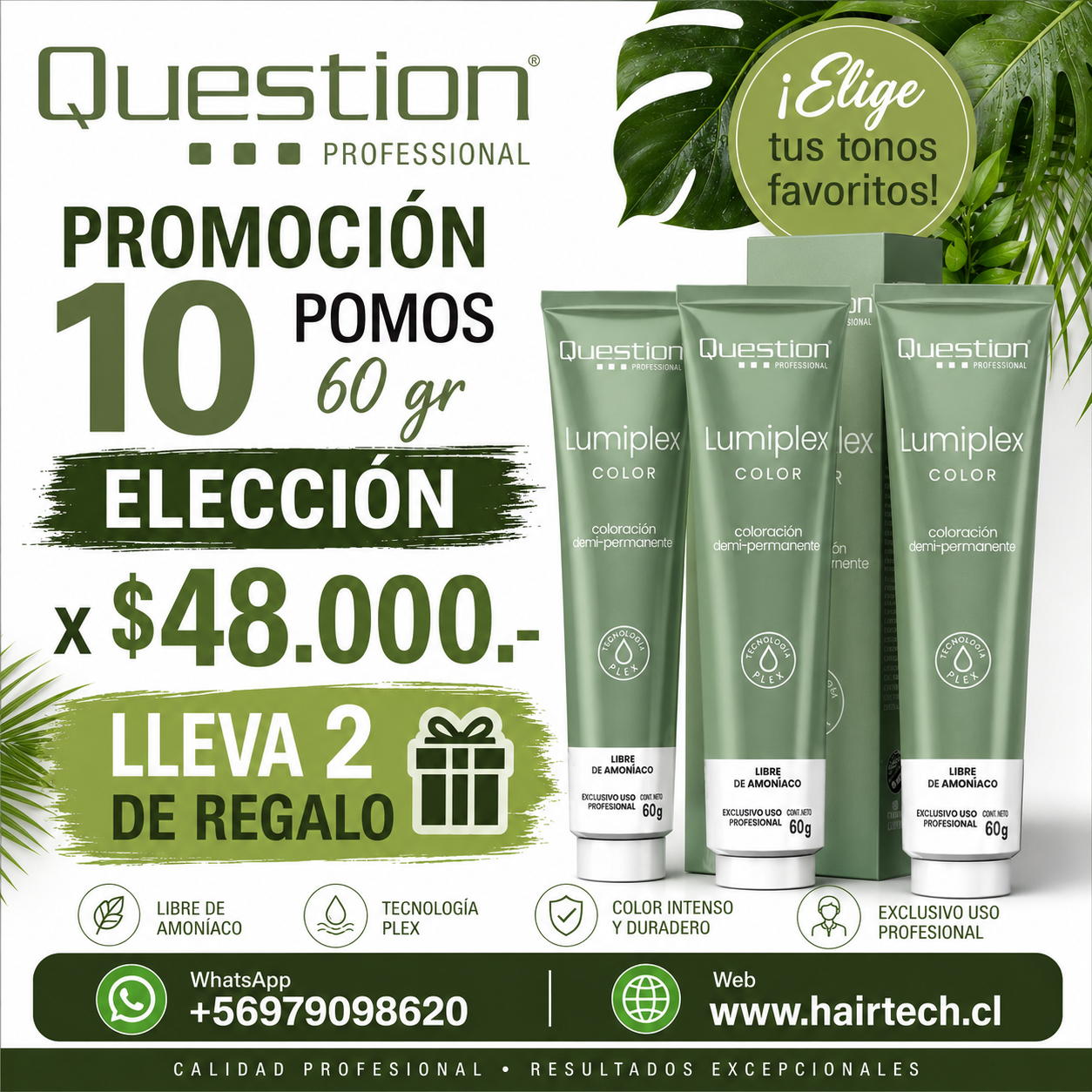 Instagram Hairtech